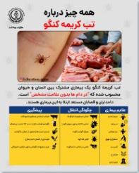 تب کریمه کنگو